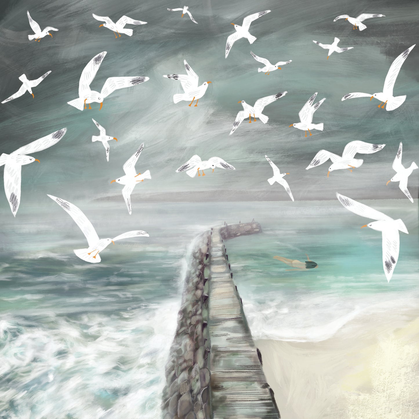 Swimming with Gulls