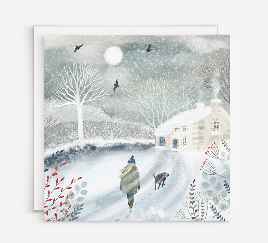 Winter Walk